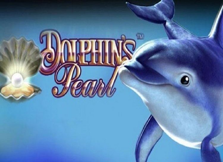 Dolphin slot machine free