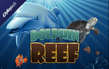 Dolphin reef slot